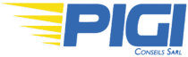 PIGI CONSEILS SARL